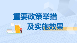 重要政策举措及实施效果相关图片